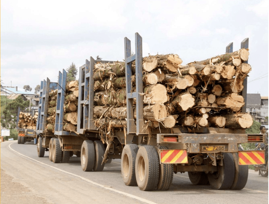 Kenya’s Conservation Conflict